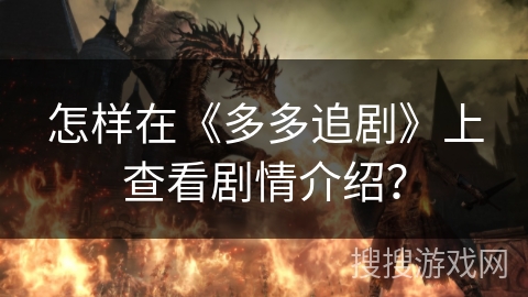 怎样在《多多追剧》上查看剧情介绍？