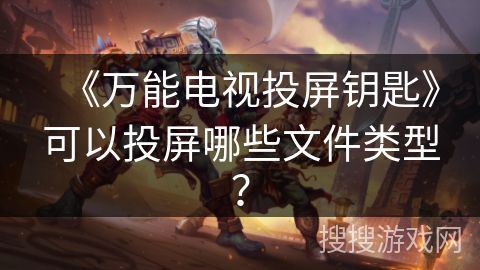 《万能电视投屏钥匙》可以投屏哪些文件类型？