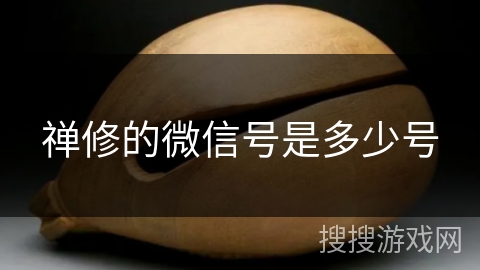 禅修的微信号是多少号 禅修的微信号是多少号