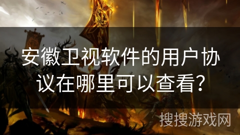 安徽卫视软件的用户协议在哪里可以查看？