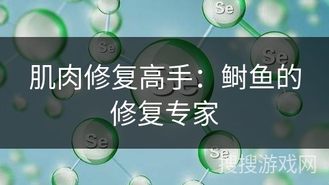 肌肉修复高手：鲥鱼的修复专家
