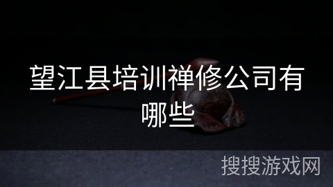望江县培训禅修公司有哪些