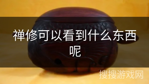 禅修可以看到什么东西呢