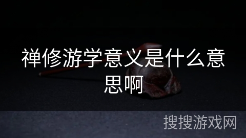 禅修游学意义是什么意思啊