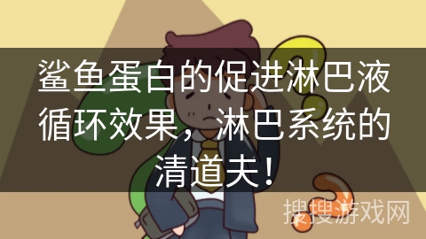 鲨鱼蛋白的促进淋巴液循环效果，淋巴系统的清道夫！