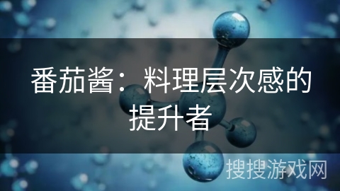 番茄酱：料理层次感的提升者