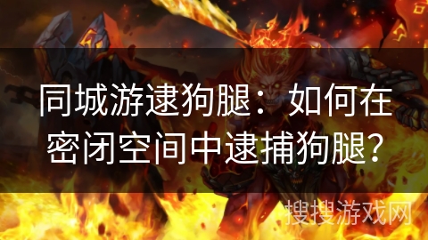 同城游逮狗腿：如何在密闭空间中逮捕狗腿？