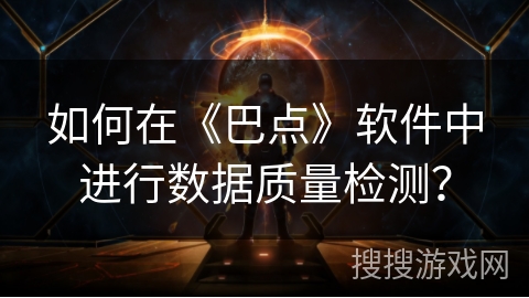 如何在《巴点》软件中进行数据质量检测？