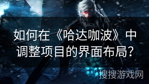 如何在《哈达咖波》中调整项目的界面布局？