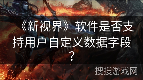 《新视界》软件是否支持用户自定义数据字段？