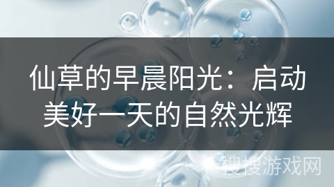 仙草的早晨阳光：启动美好一天的自然光辉