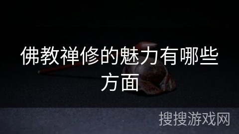 佛教禅修的魅力有哪些方面 佛教禅修的魅力有哪些方面