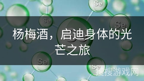 杨梅酒，启迪身体的光芒之旅