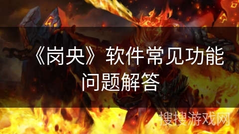 《岗央》软件常见功能问题解答