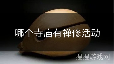 哪个寺庙有禅修活动