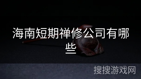 海南短期禅修公司有哪些