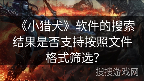 《小猎犬》软件的搜索结果是否支持按照文件格式筛选？