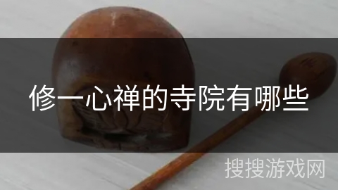 修一心禅的寺院有哪些