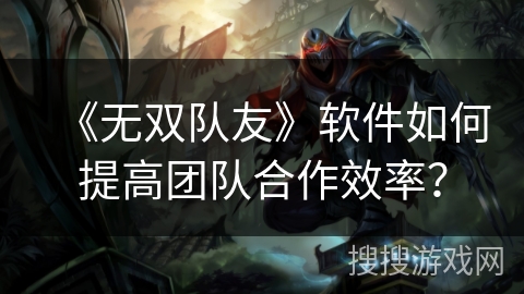 《无双队友》软件如何提高团队合作效率？