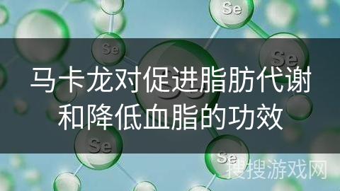 马卡龙对促进脂肪代谢和降低血脂的功效