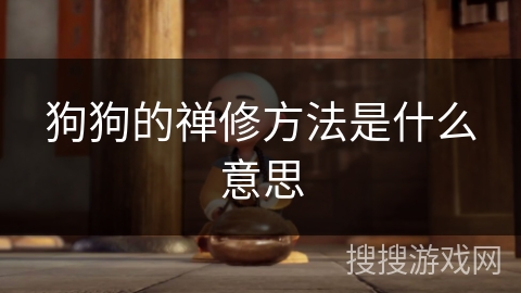 狗狗的禅修方法是什么意思