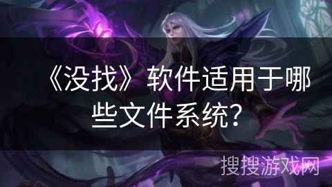 《没找》软件适用于哪些文件系统？