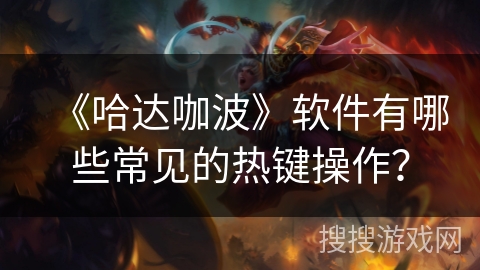 《哈达咖波》软件有哪些常见的热键操作？