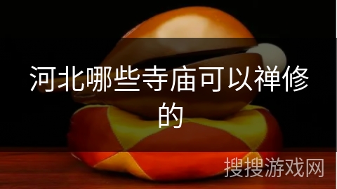 河北哪些寺庙可以禅修的