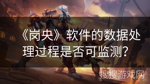 《岗央》软件的数据处理过程是否可监测？