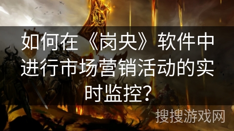 如何在《岗央》软件中进行市场营销活动的实时监控？