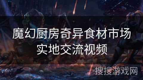 魔幻厨房奇异食材市场实地交流视频