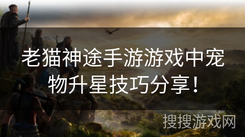 老猫神途手游游戏中宠物升星技巧分享！