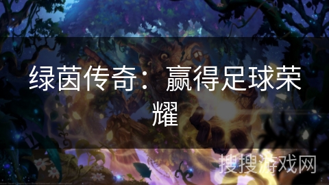 绿茵传奇:赢得足球荣耀 绿茵传奇:赢得足球荣耀