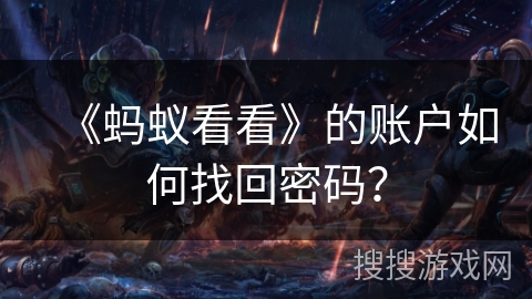 《蚂蚁看看》的账户如何找回密码？