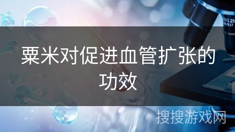 粟米对促进血管扩张的功效