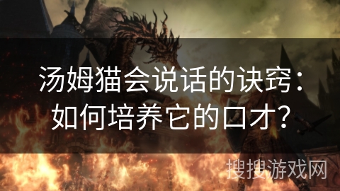 汤姆猫会说话的诀窍：如何培养它的口才？
