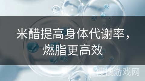 米醋提高身体代谢率,燃脂更高效 米醋提高身体代谢率,燃脂更高效