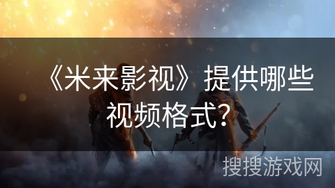 《米来影视》提供哪些视频格式？