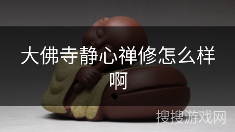 大佛寺静心禅修怎么样啊