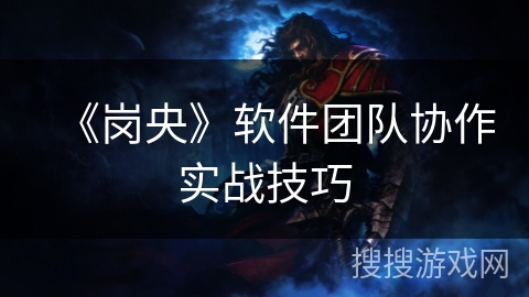 《岗央》软件团队协作实战技巧