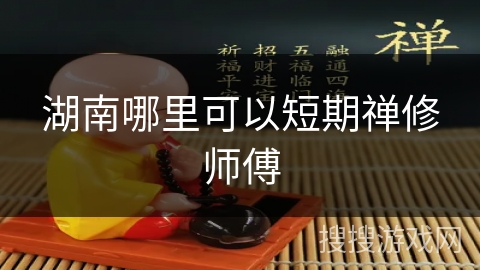 湖南哪里可以短期禅修师傅
