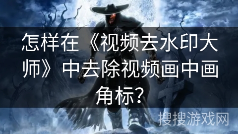 怎样在《视频去水印大师》中去除视频画中画角标？