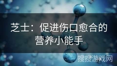 芝士:促进伤口愈合的营养小能手 芝士:促进伤口愈合的营养小能手