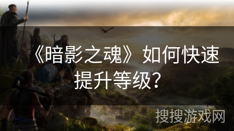 《暗影之魂》如何快速提升等级？
