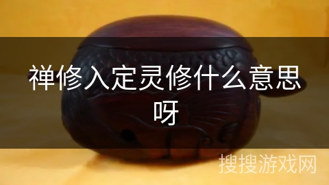 禅修入定灵修什么意思呀