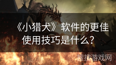 《小猎犬》软件的更佳使用技巧是什么？