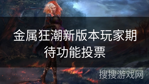 金属狂潮新版本玩家期待功能投票