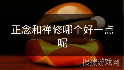 正念和禅修哪个好一点呢