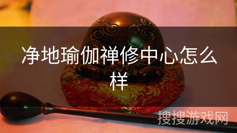 净地瑜伽禅修中心怎么样