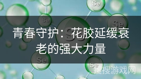 青春守护：花胶延缓衰老的强大力量